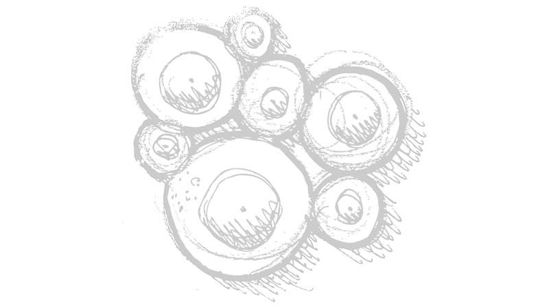 origin-fikissimo first drafts of fikissimo products